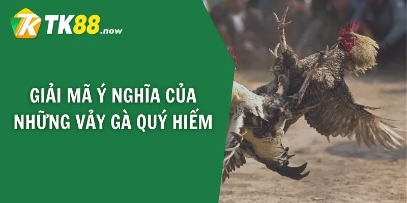 Giải mã ý nghĩa của những vảy gà quý hiếm