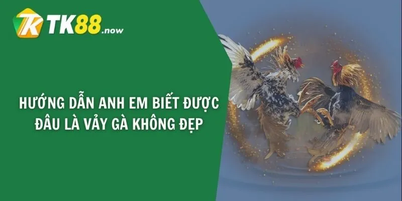 Hướng dẫn anh em biết được đâu là vảy gà không đẹp