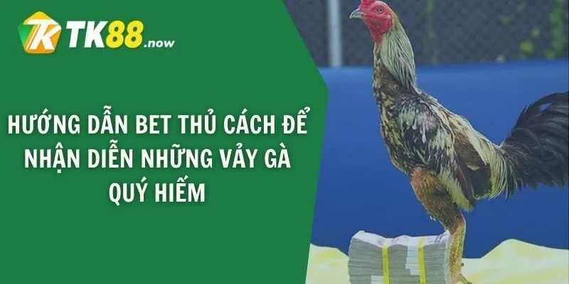 Hướng dẫn bet thủ cách để nhận diễn những vảy gà quý hiếm