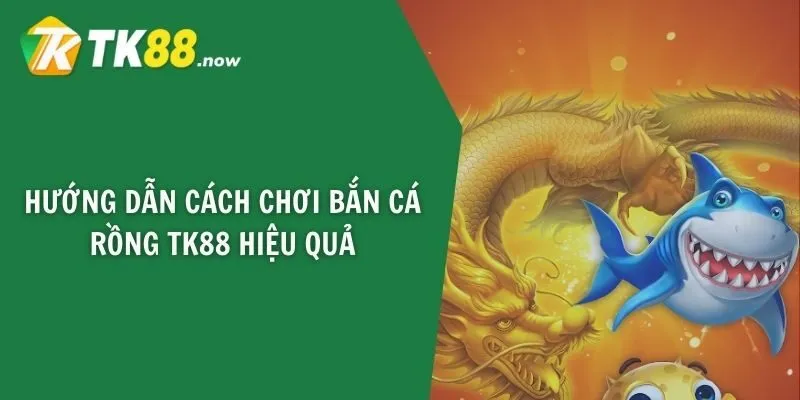 Hướng dẫn cách chơi bắn cá rồng TK88 hiệu quả