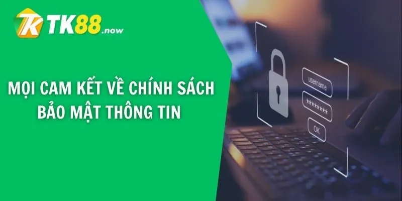 Mọi cam kết về chính sách bảo mật thông tin 