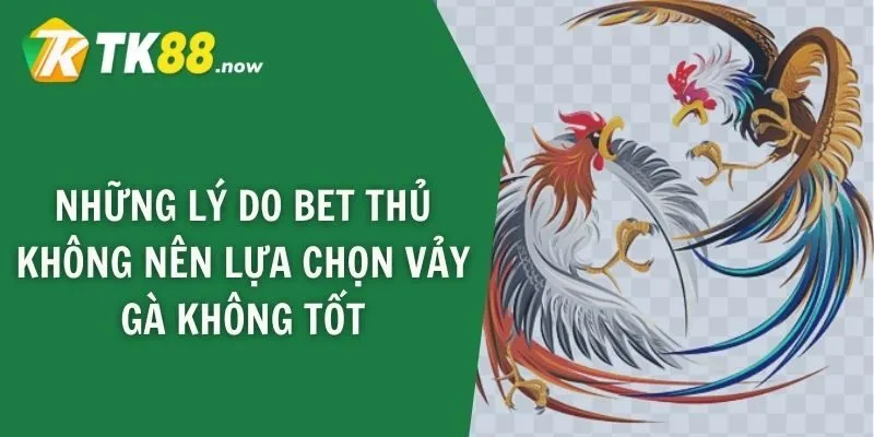 Những lý do bet thủ không nên lựa chọn vảy gà không tốt